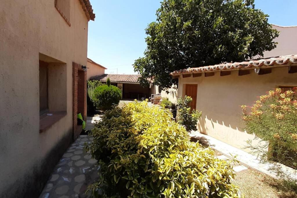 Casa Rural La Paloma - Zamora Manganeses de la Lampreana Екстериор снимка